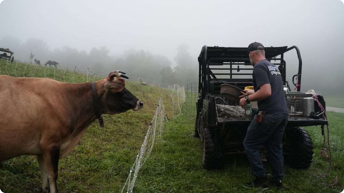 Rotational Grazing, Raw Milk, and Real-World Homesteading Lessons