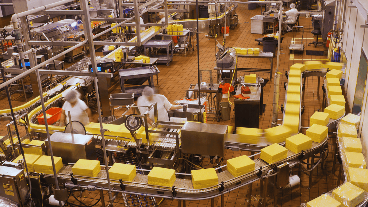 Cheese made in factory