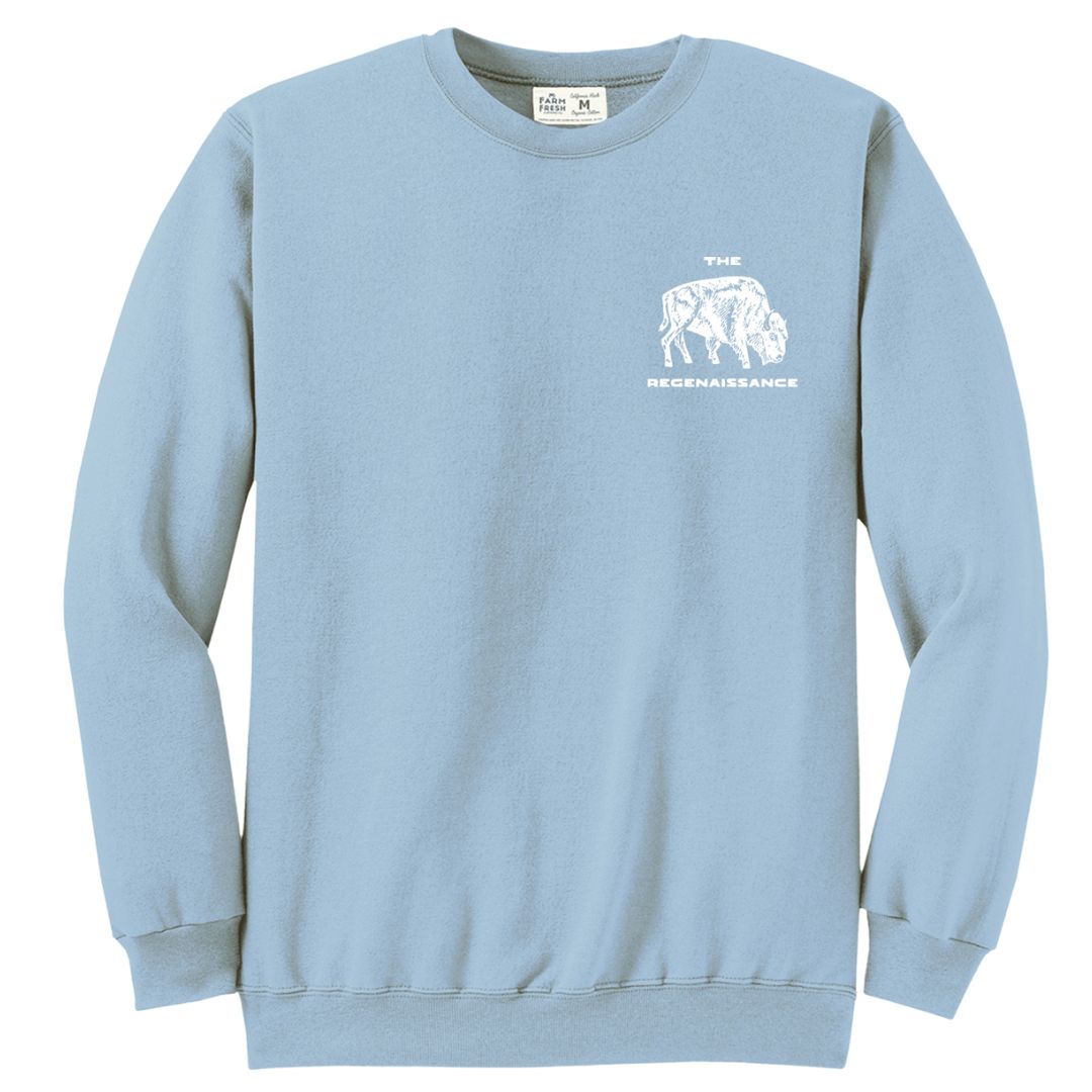 Light blue sweatshirt with a white Regenaissance logo graphic and text on a white background