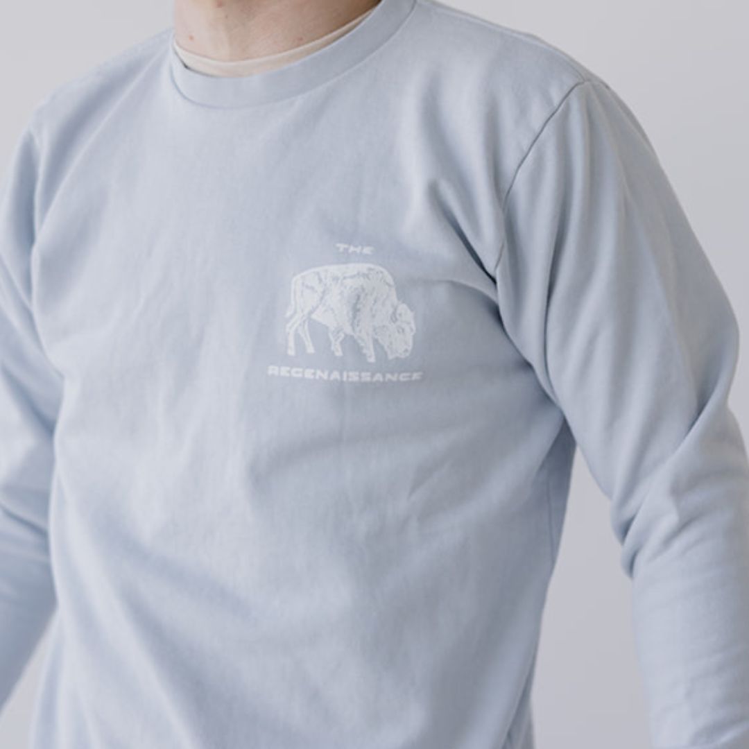 Light blue long-sleeve sweatshirt with a white Regenaissance bison graphic and text on a plain background