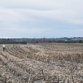 The Farming Fallacy