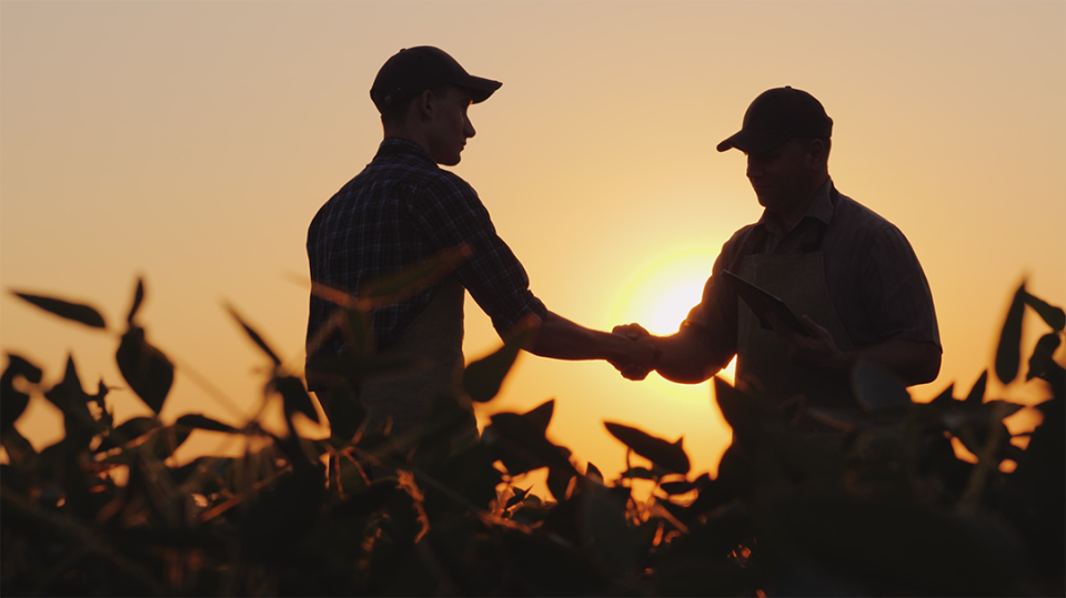 The Ranchers' Reality
