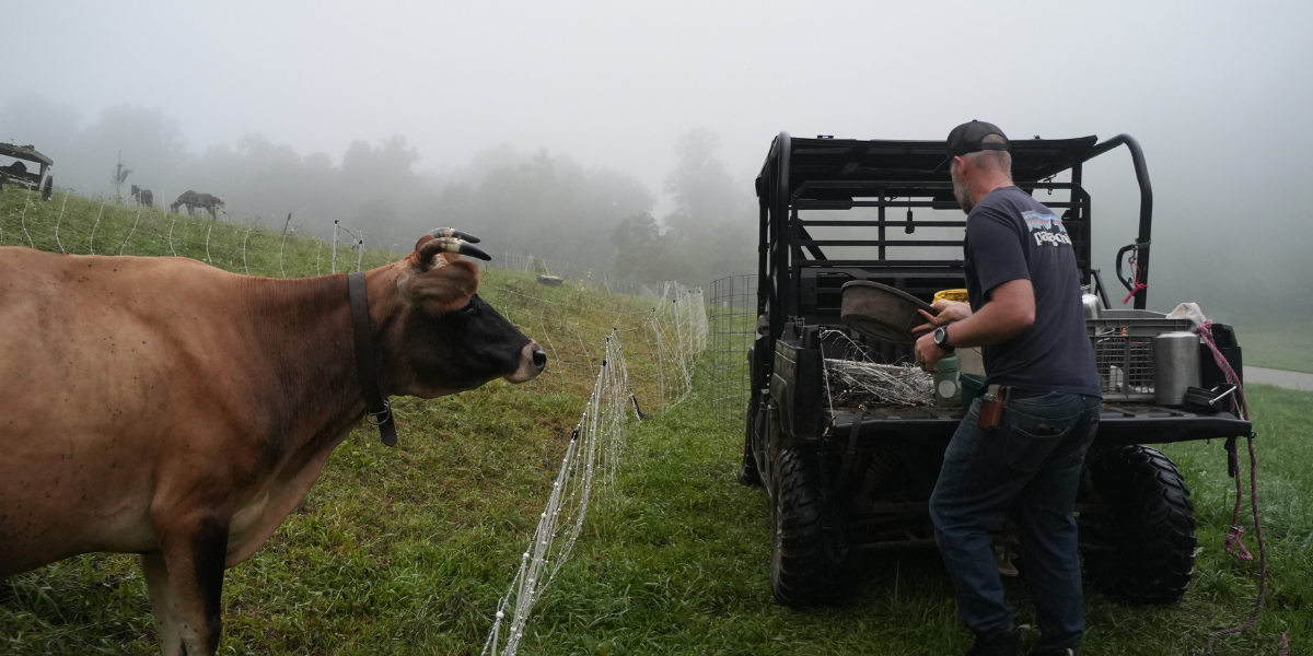 Rotational Grazing, Raw Milk, and Real-World Homesteading Lessons