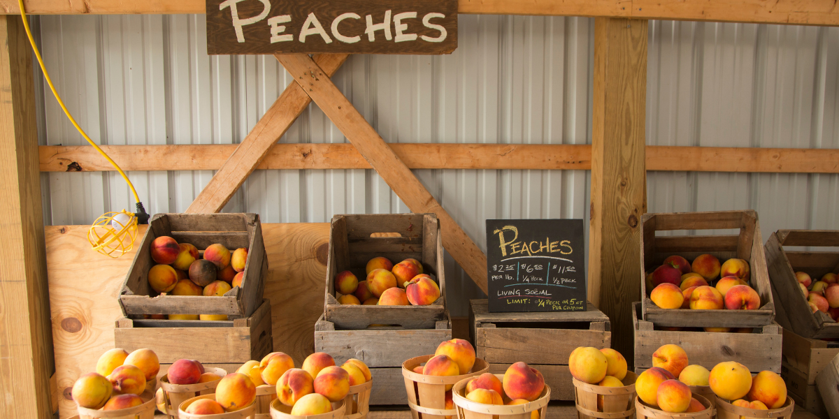 Oregon Farmers Just Beat the Bureaucrats — Farm Stand Freedom Wins Again