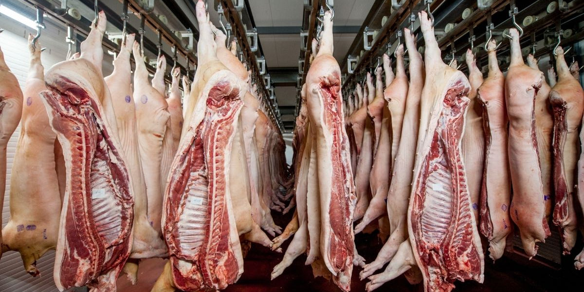 What Tyson’s Price-Fixing Scandal Means for Ethical Pork