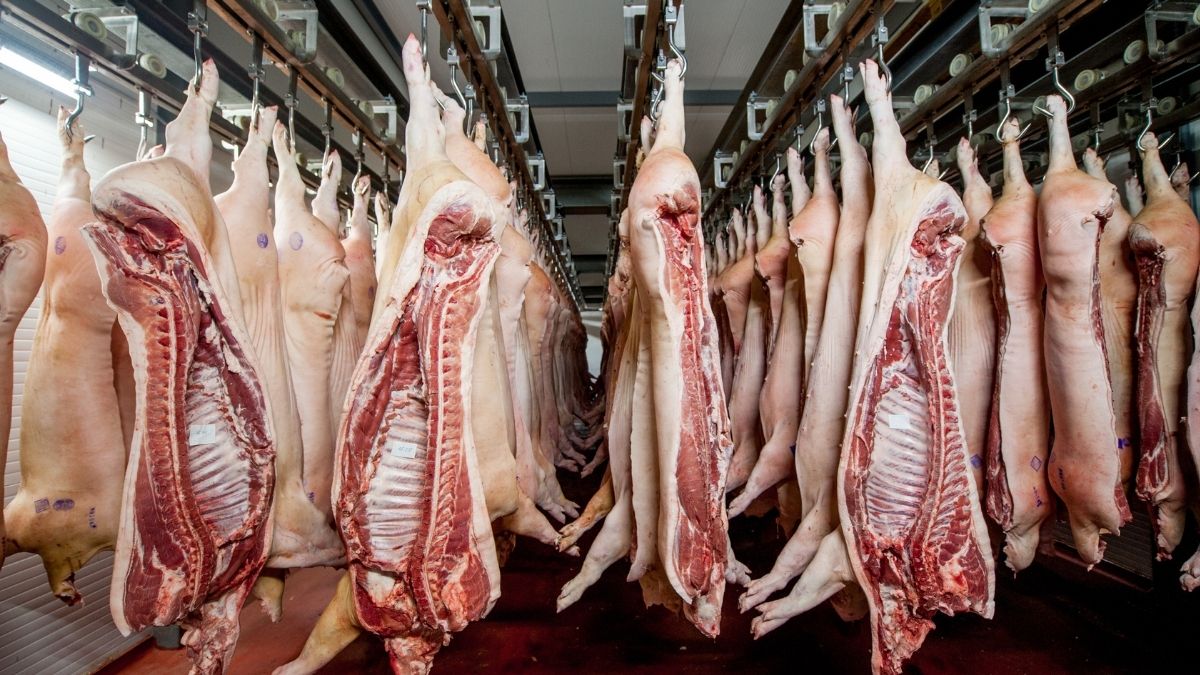 What Tyson’s Price-Fixing Scandal Means for Ethical Pork