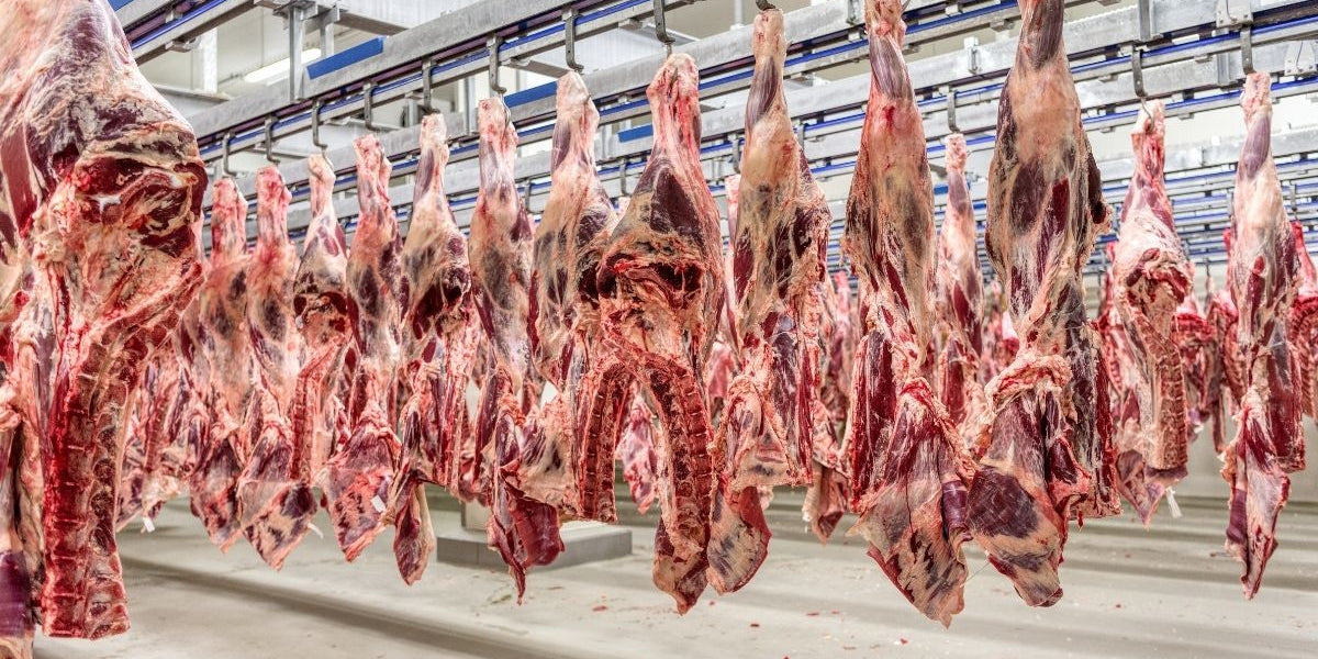 How Tyson and Cargill Rigged the Beef Market and Got Away With It