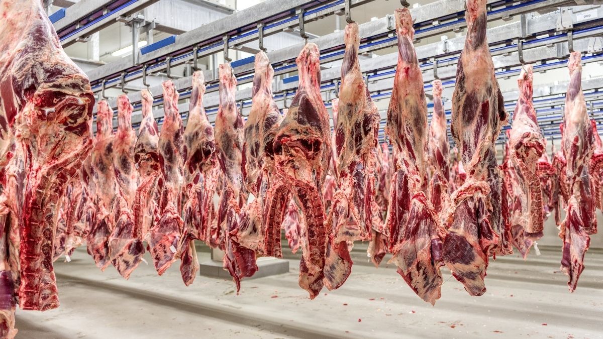 How Tyson and Cargill Rigged the Beef Market and Got Away With It