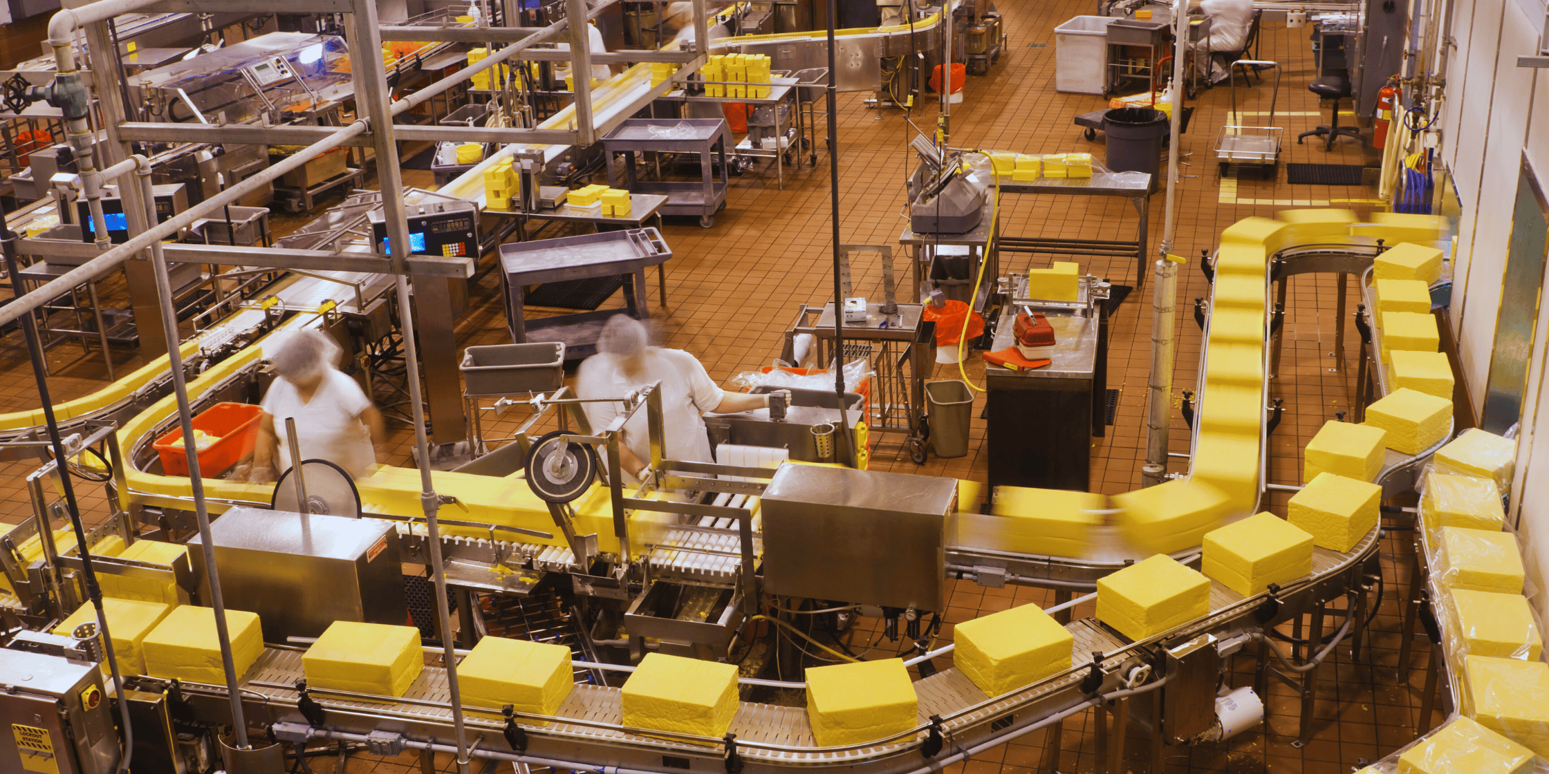 Cheese made in factory