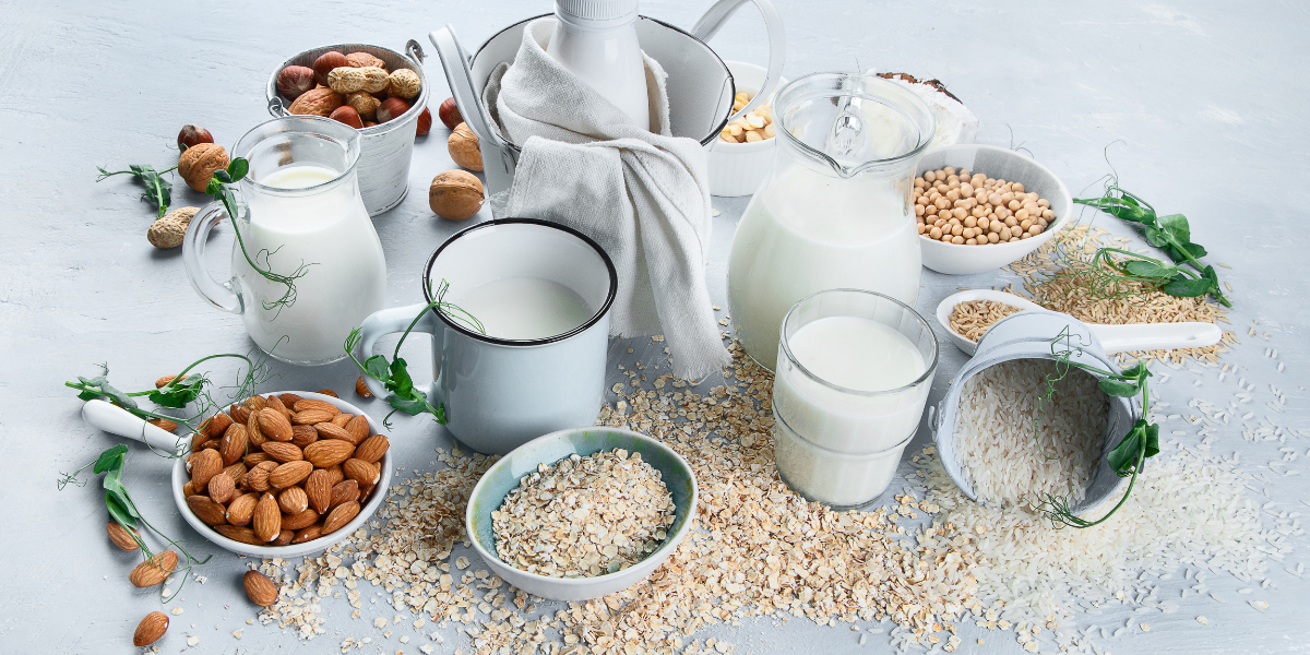 Assorted plant-based milks with ingredients — almonds, oats, soybeans, rice, and nuts — displayed in glass pitchers, mugs, and bowls on a kitchen table.