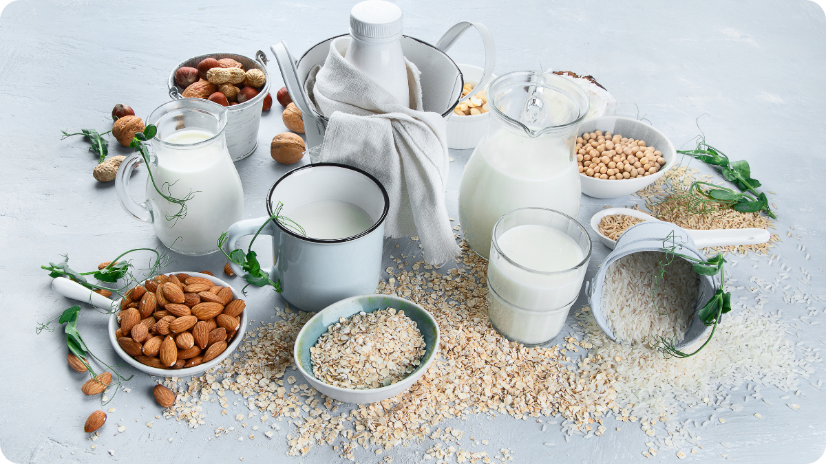 Assorted plant-based milks with ingredients — almonds, oats, soybeans, rice, and nuts — displayed in glass pitchers, mugs, and bowls on a kitchen table.