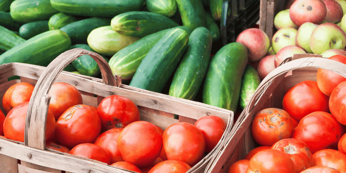 USDA Grant Helps Farmers Transition to Organic: What Regenerative Growers Need to Know