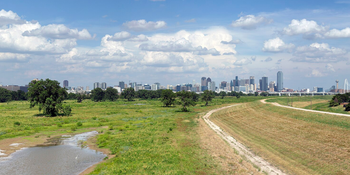Texas’s Fertile Rebellion: How Regenerative Agriculture Outpaces Levees in Flood Control