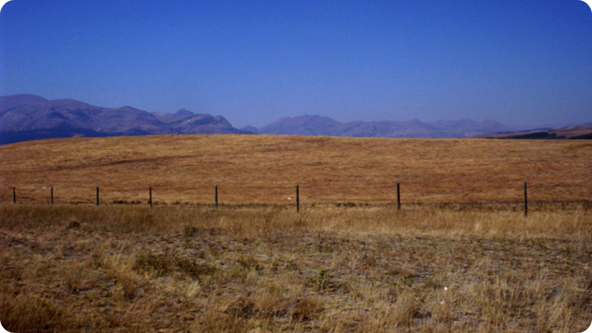 Blackfeet Indian Reservation, looking at the mountains of Glacier National Park