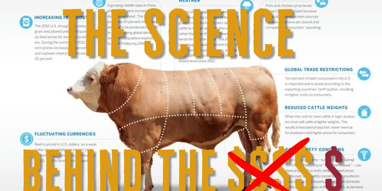 🥩 Why Beef Margins Are Terrible in the U.S. (And What Most Consumers Don’t Realize)