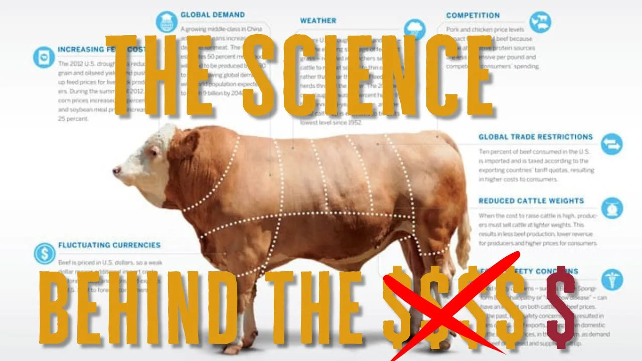 Why Beef Margins Are Terrible in the U.S. (And What Most Consumers Don’t Realize)