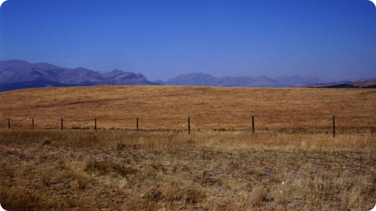 Blackfeet Nation Water Crisis: Drought, Broken Promises, and the Fight for Sovereignty - The Regenaissance