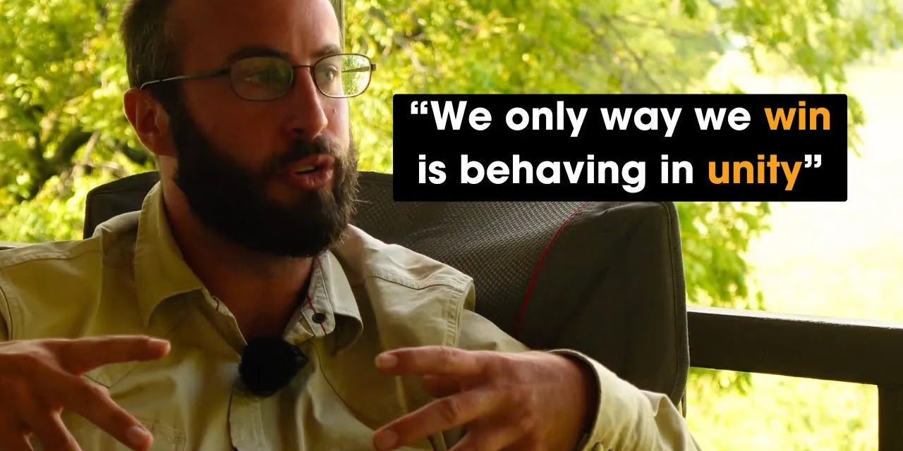 How Collaborative Farming Models Can Save Rural America: A Practical Guide to Regenerative Solutions - The Regenaissance