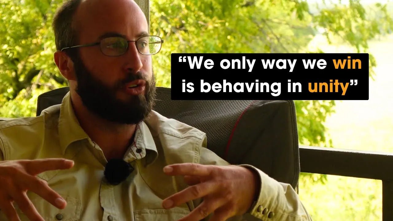 How Collaborative Farming Models Can Save Rural America: A Practical Guide to Regenerative Solutions - The Regenaissance