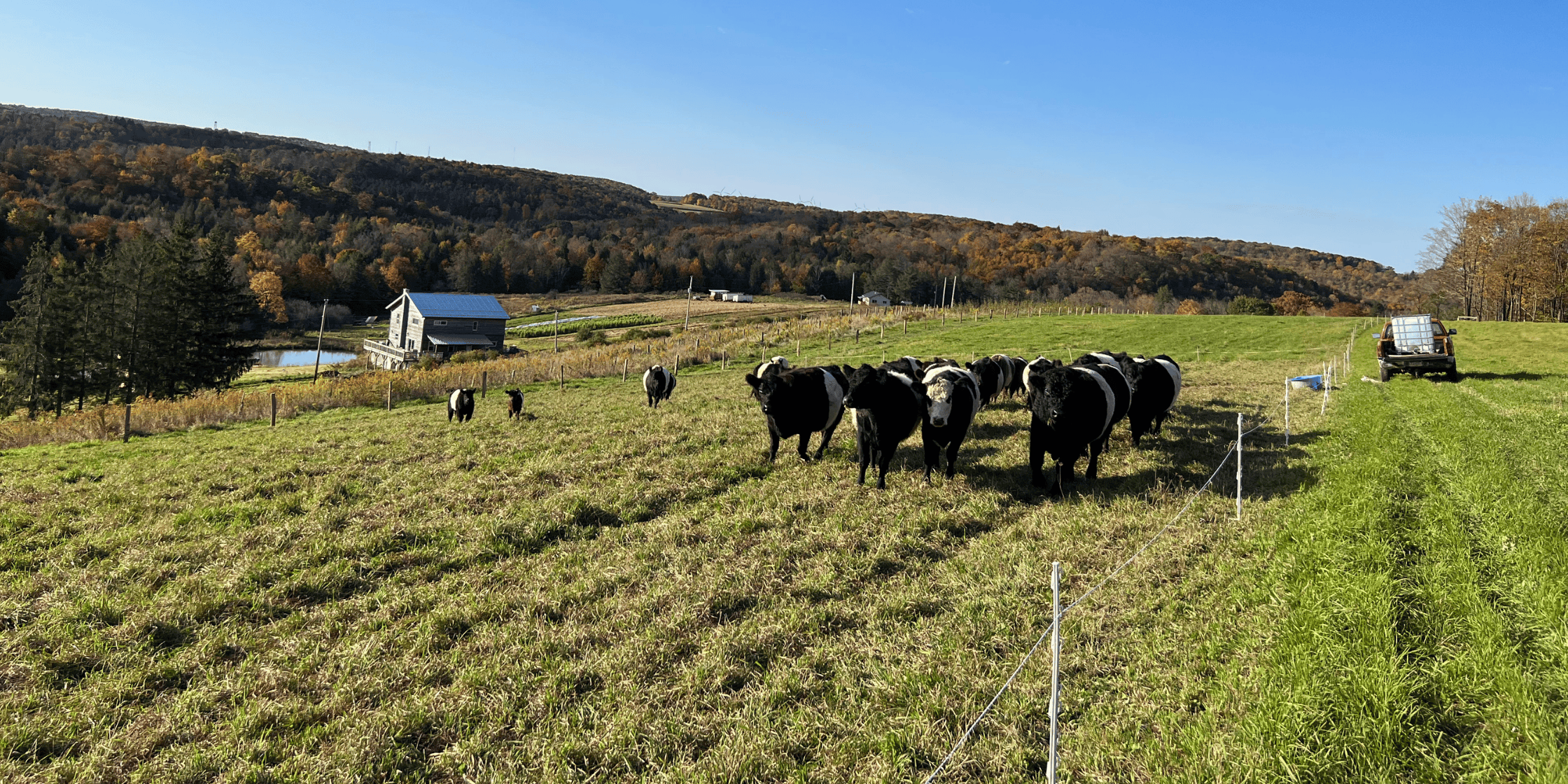 My First Farm Experience - The Regenaissance