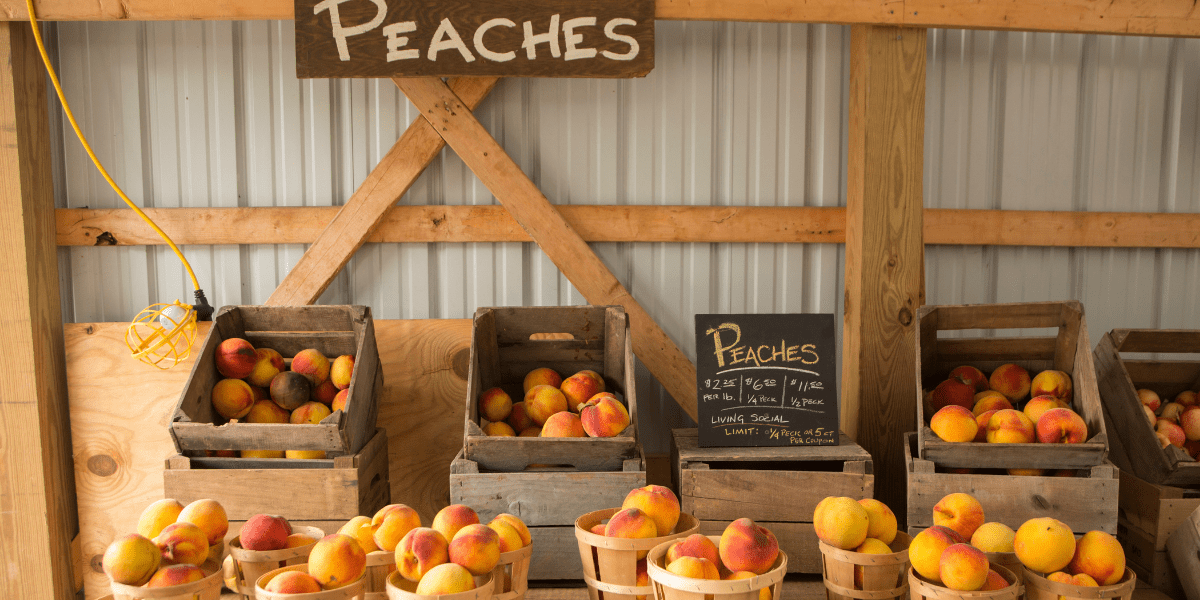 Oregon Farmers Just Beat the Bureaucrats — Farm Stand Freedom Wins Again - The Regenaissance