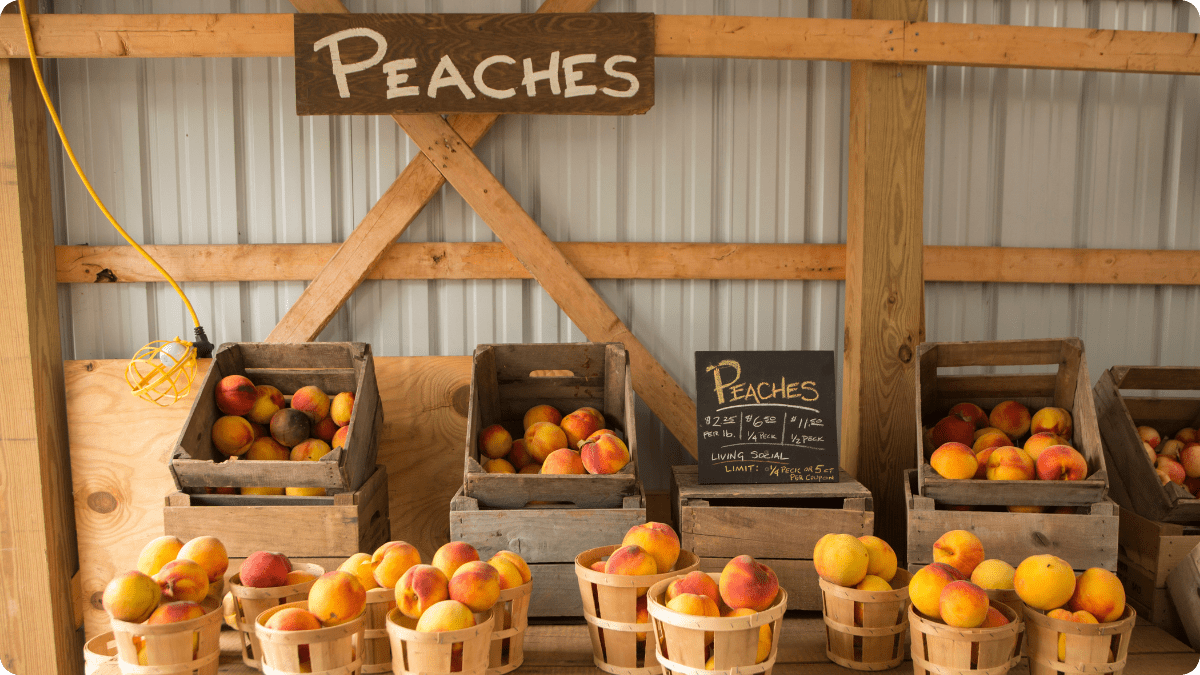 Oregon Farmers Just Beat the Bureaucrats — Farm Stand Freedom Wins Again - The Regenaissance