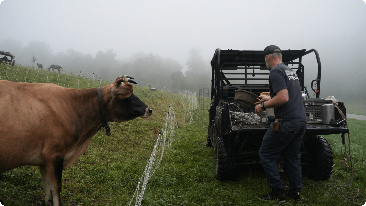 Rotational Grazing, Raw Milk, and Real-World Homesteading Lessons - The Regenaissance