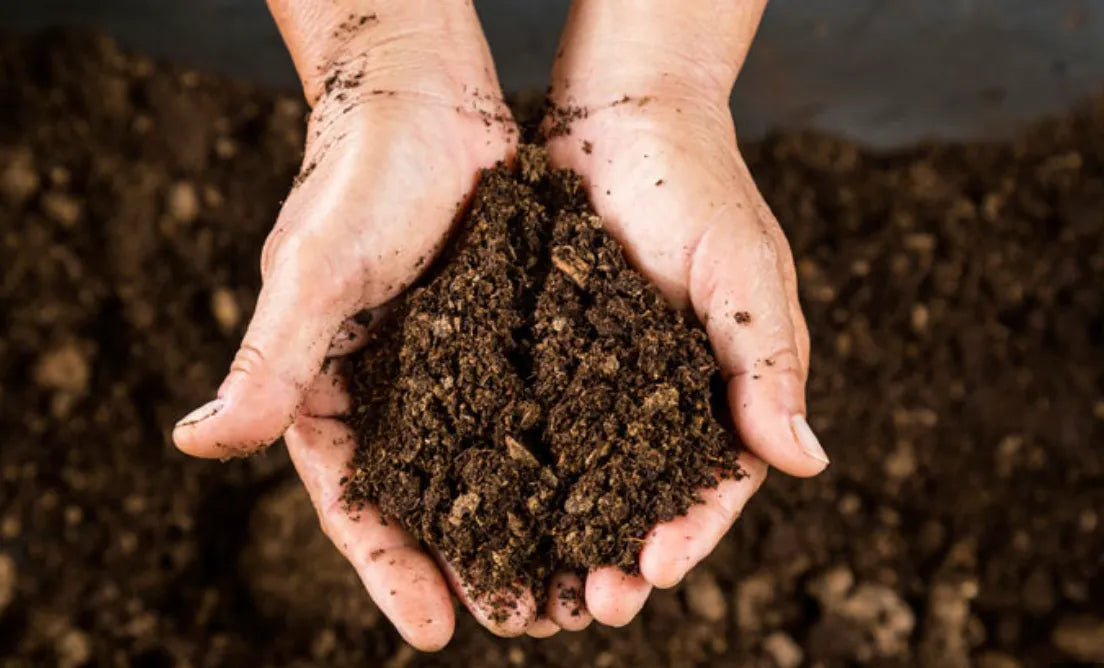 Holding soil