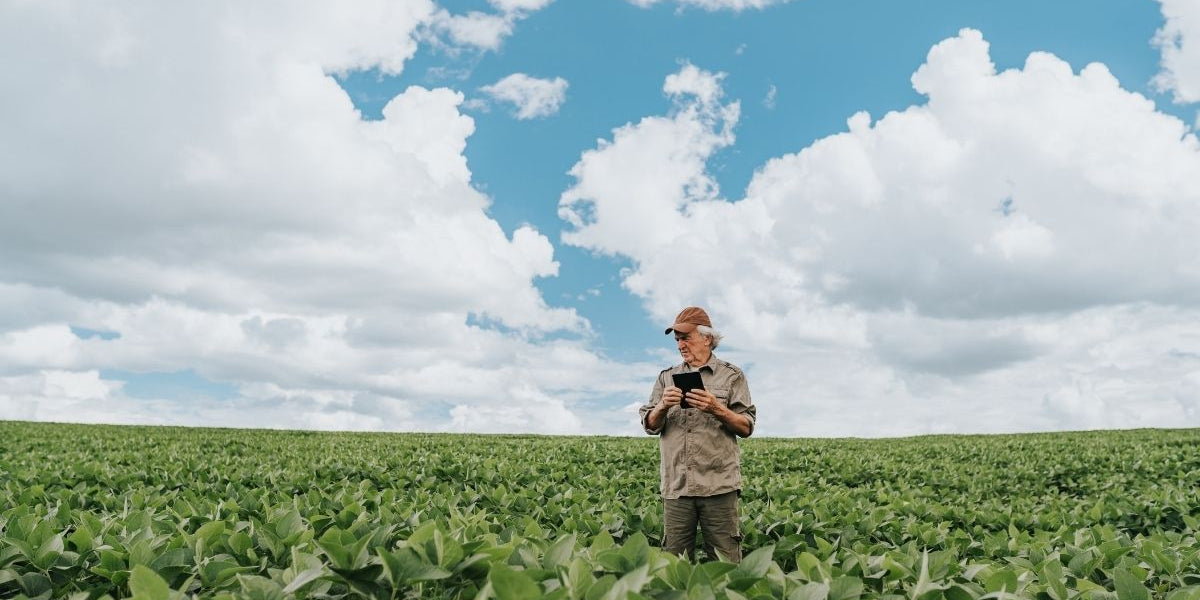 Tariffs Slam US Soybean Farmers in 2025: What You Need to Know - The Regenaissance