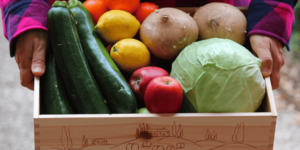 The Power of CSAs: How Community Supported Agriculture Fuels Regenerative Farming - The Regenaissance