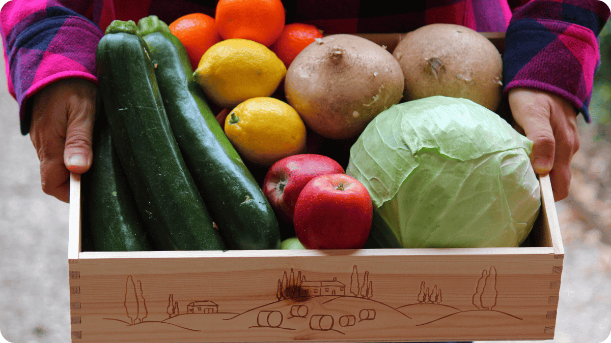 The Power of CSAs: How Community Supported Agriculture Fuels Regenerative Farming - The Regenaissance