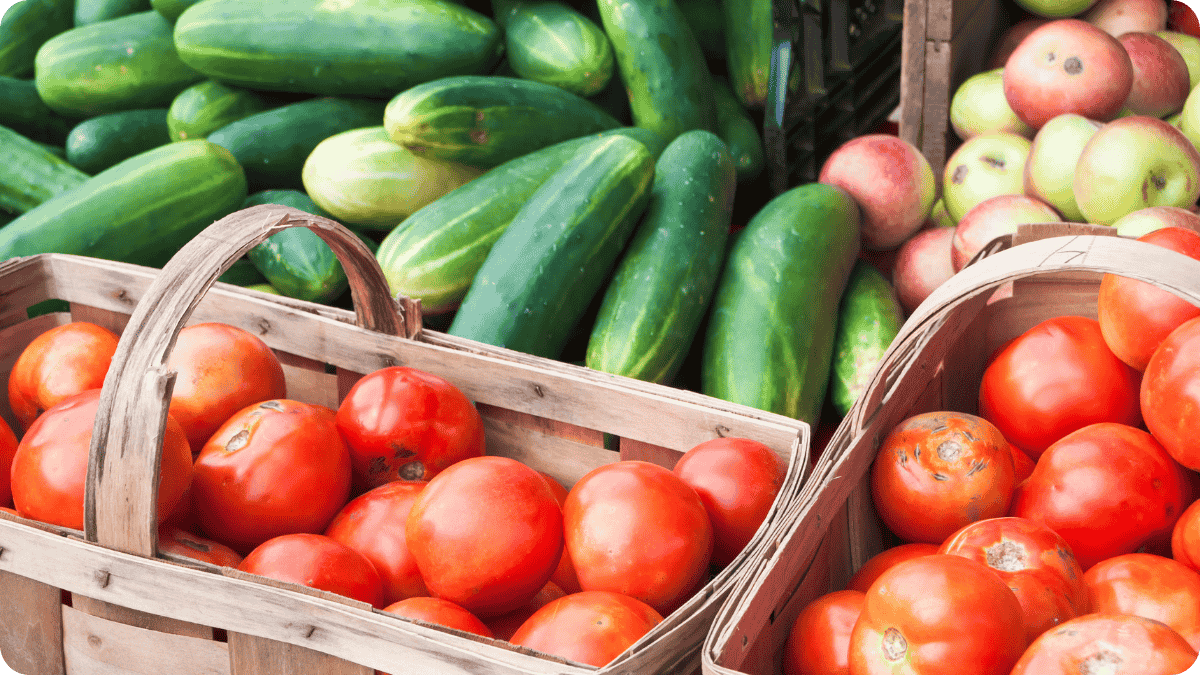 USDA Grant Helps Farmers Transition to Organic: What Regenerative Growers Need to Know - The Regenaissance