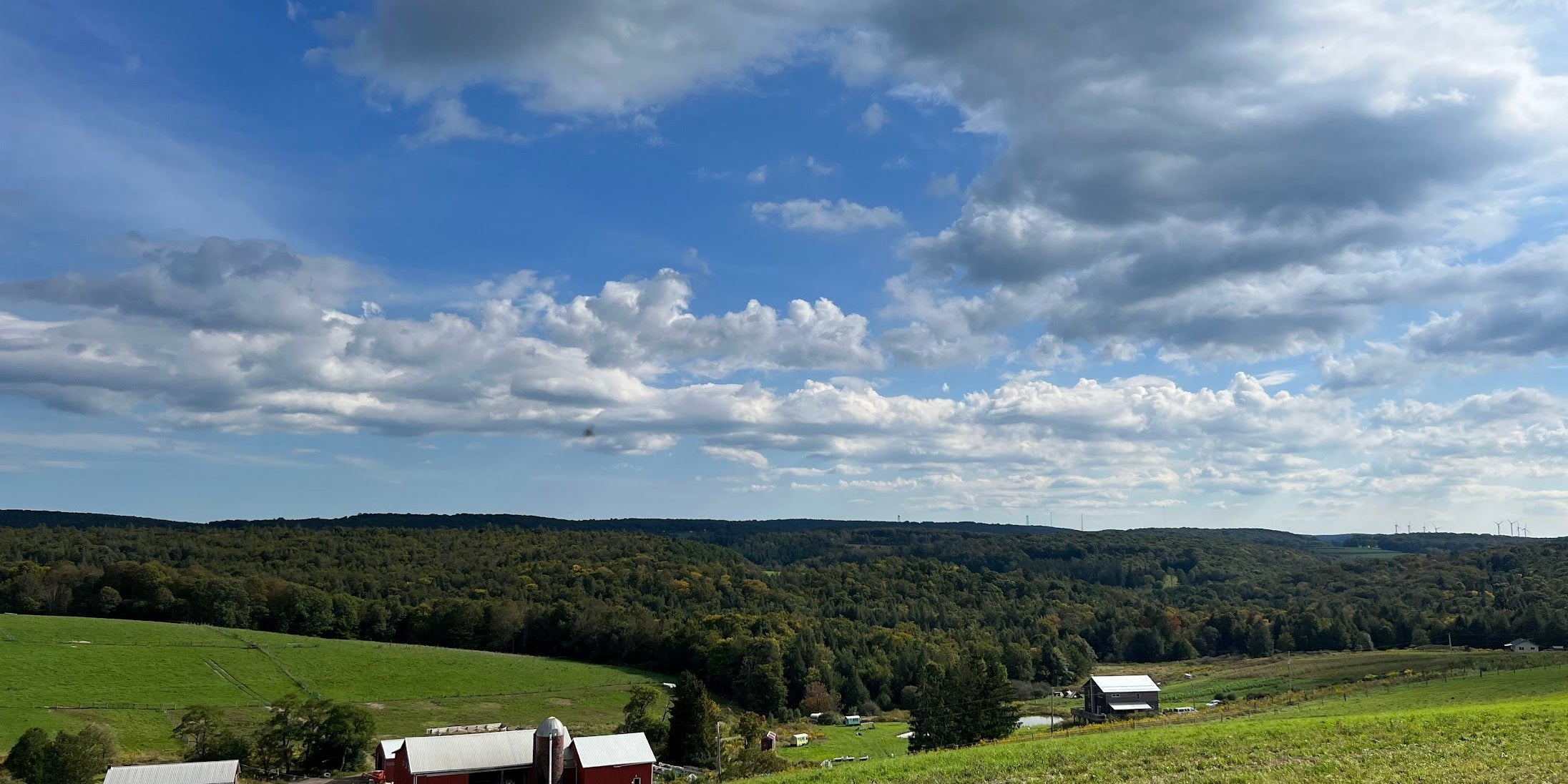 What is Regenerative Agriculture? - The Regenaissance