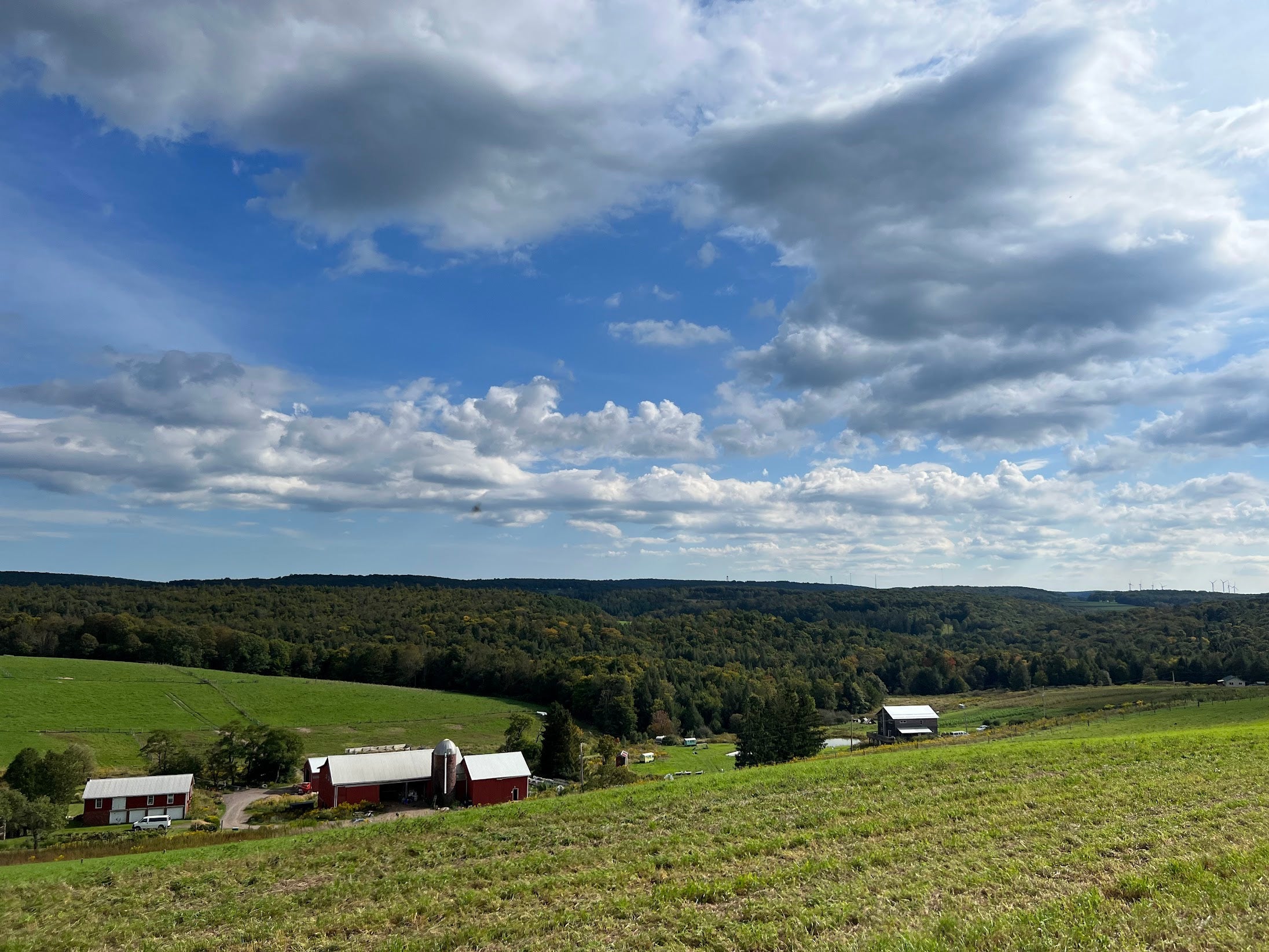 What is Regenerative Agriculture? - The Regenaissance