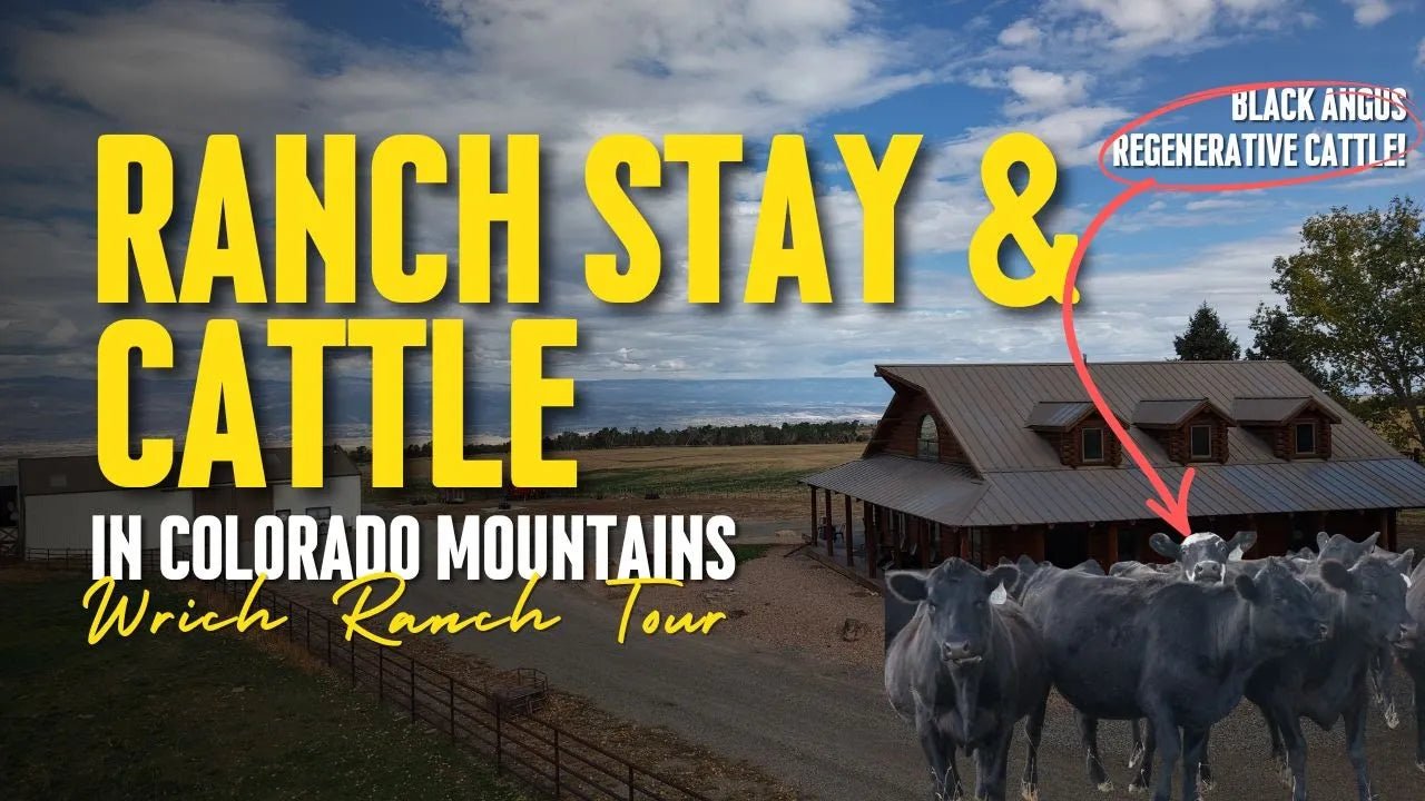 What Regenerative Agriculture Actually Looks Like: Lessons From Wrich Ranches in Colorado - The Regenaissance