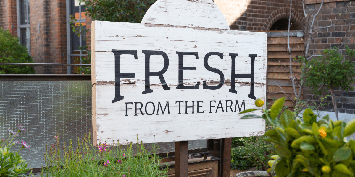 Fresh Drop - The Regenaissance