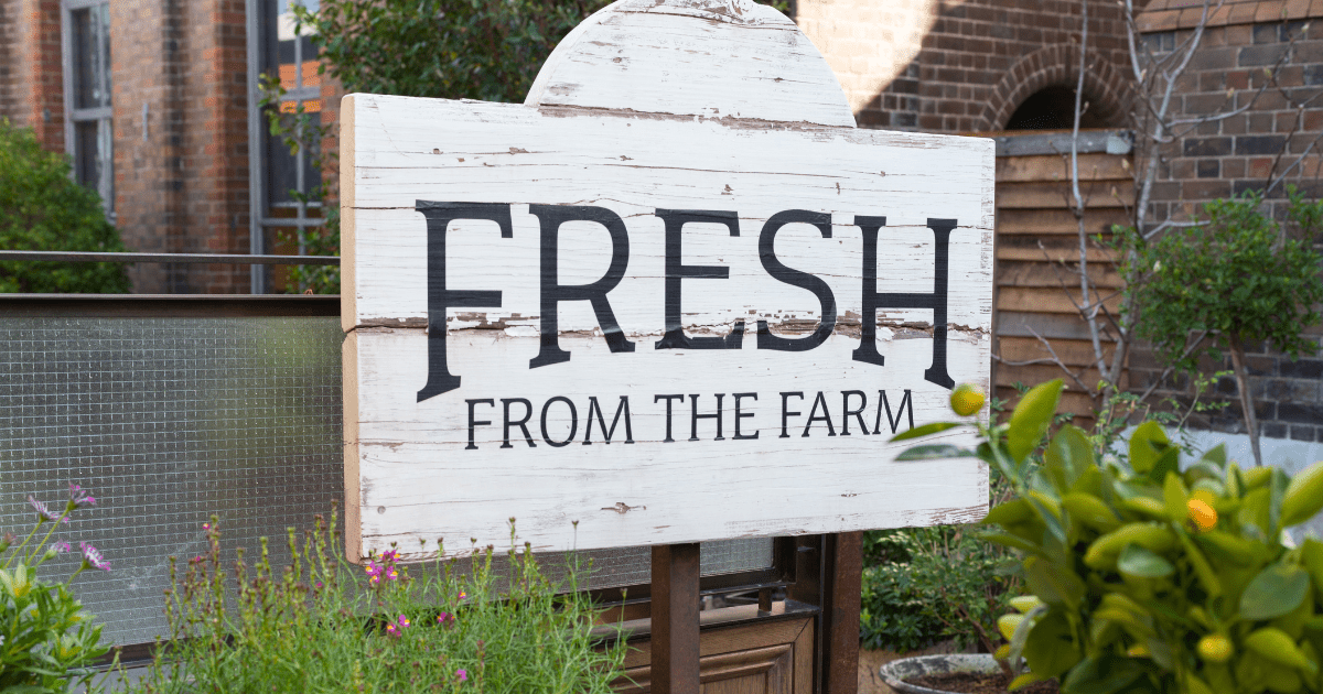 Fresh Drop - The Regenaissance