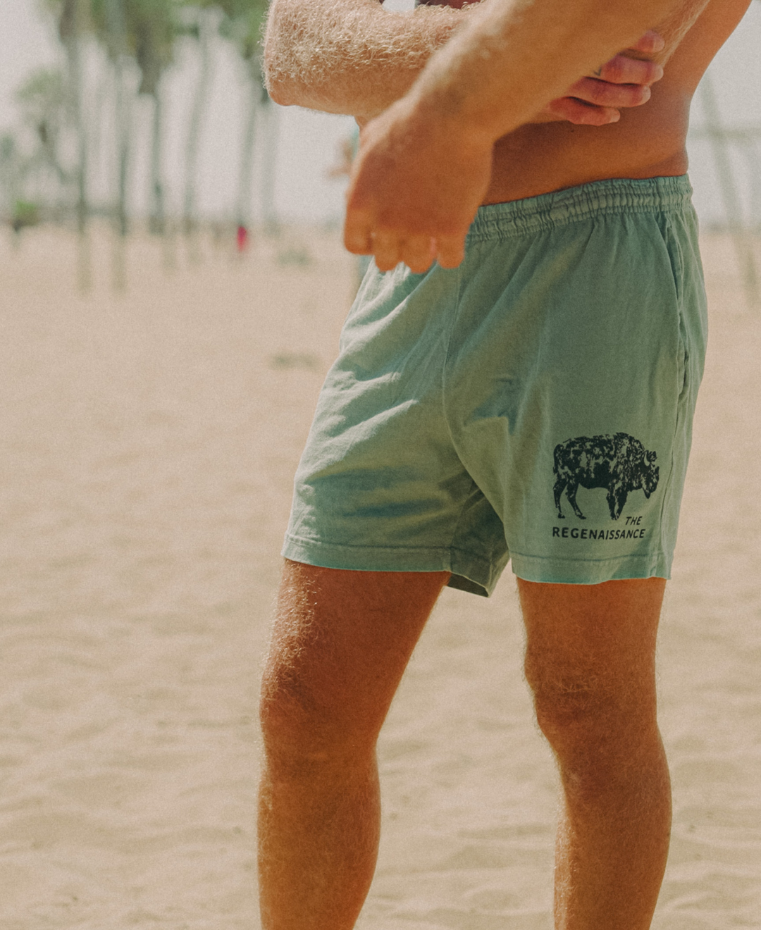 Men's Bison Shorts