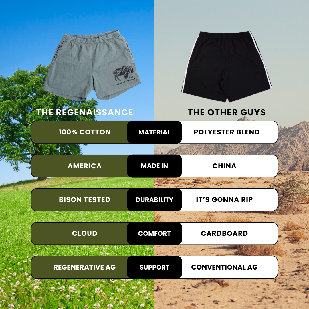 Regen_Cotton_Shorts_040477cf-dc1a-4bce-a0e1-38d821b68278.png
