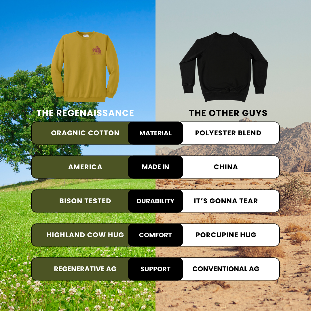 Regen_Logo_Sweatshirt_00c8cd87-2f77-41a0-acad-22c35b7e8141.png
