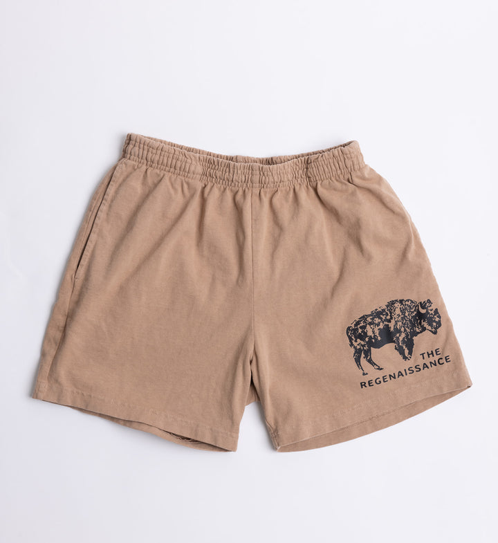 Men's Regenaissance Cotton Shorts