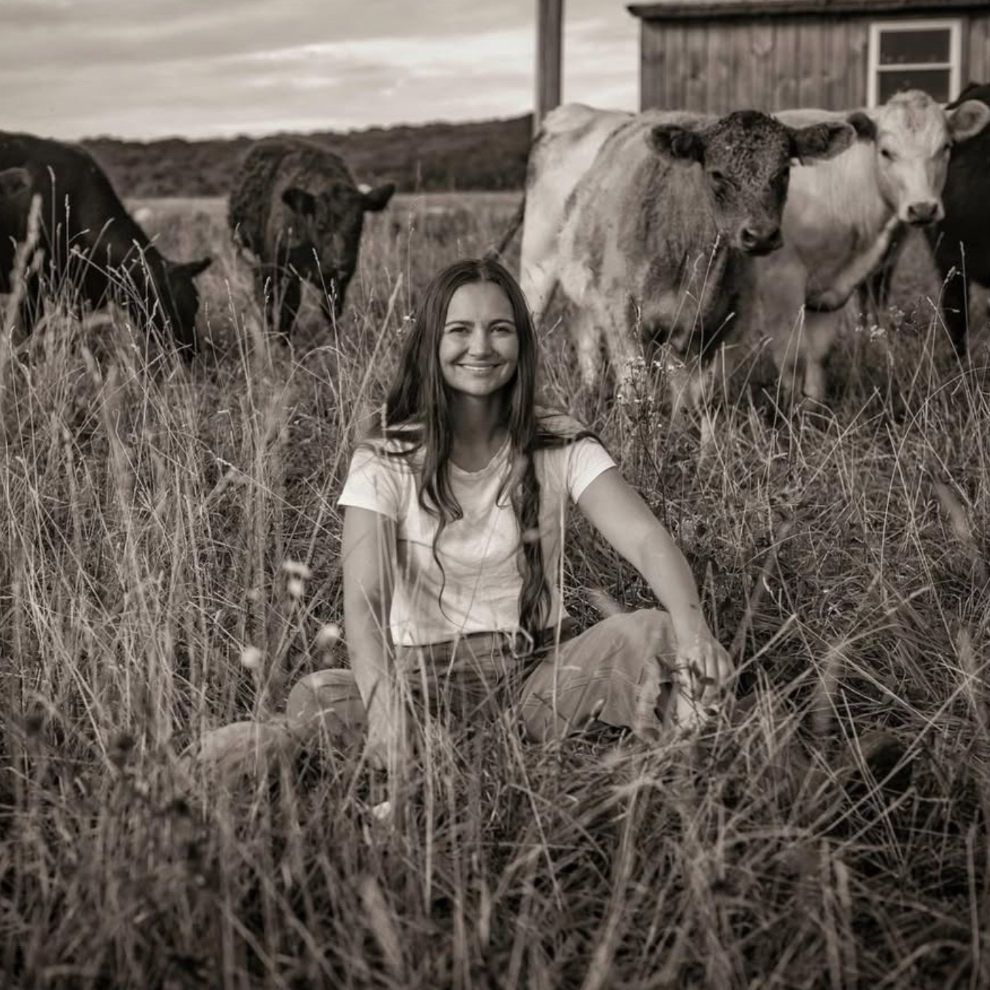 Woman sitting in a field with cows in the background