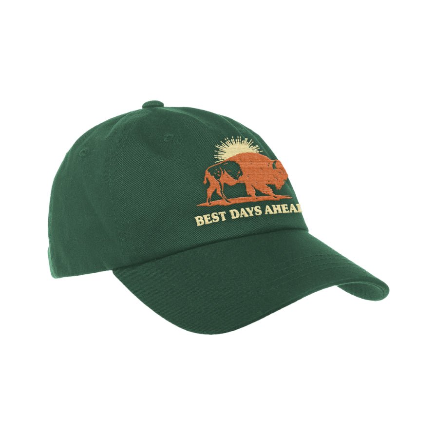 Best Days Ahead Dad Cap - Spruce - The Regenaissance