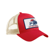 Best Days Ahead Trucker Hat - Red - The Regenaissance