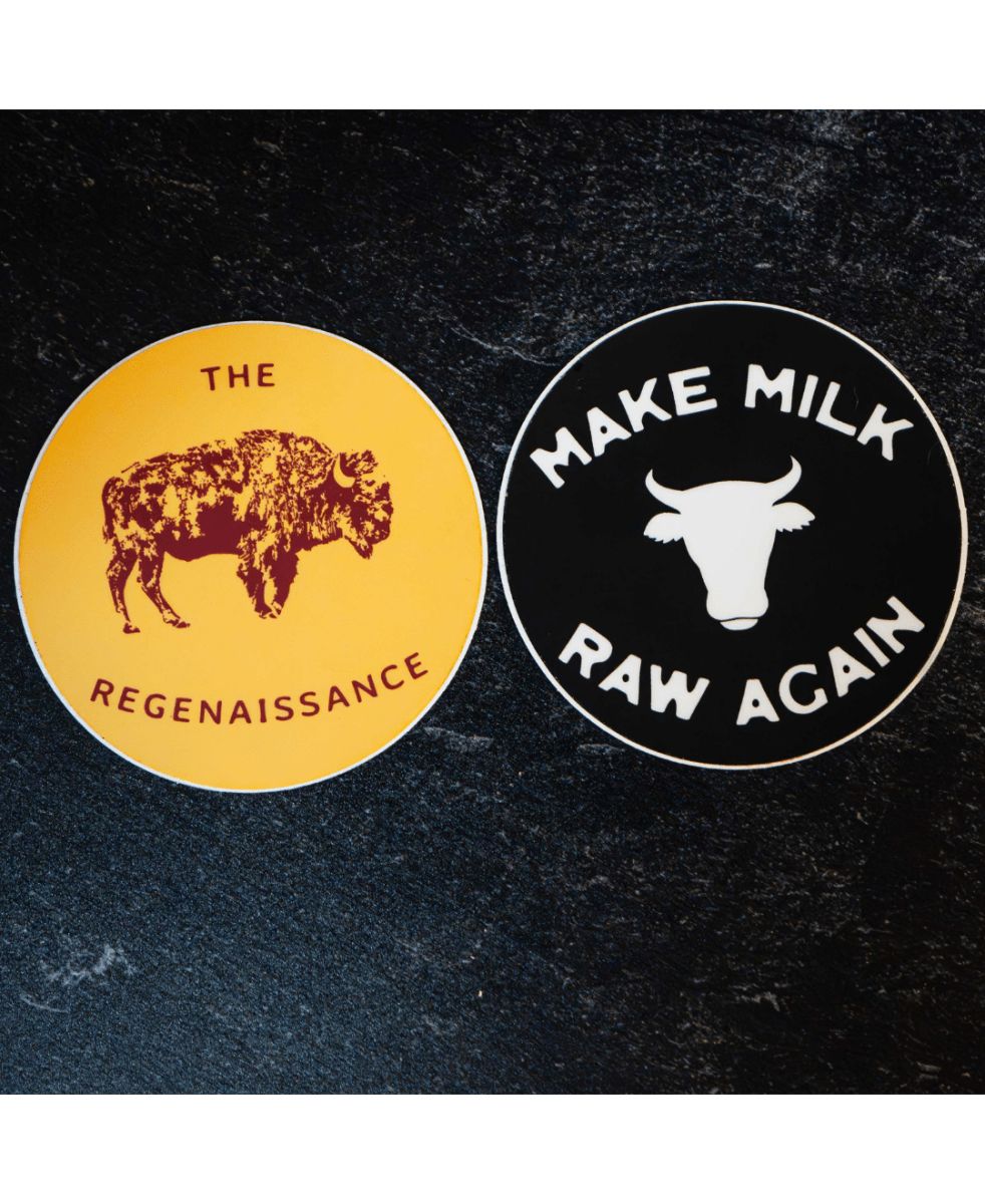 Regenaissance Sticker Pack - The Regenaissance