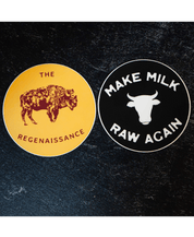 Regenaissance Sticker Pack - The Regenaissance