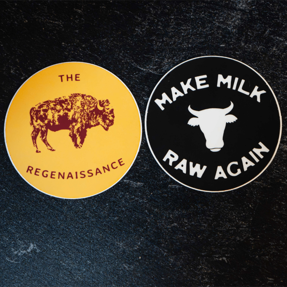 Regenaissance Sticker Pack - The Regenaissance